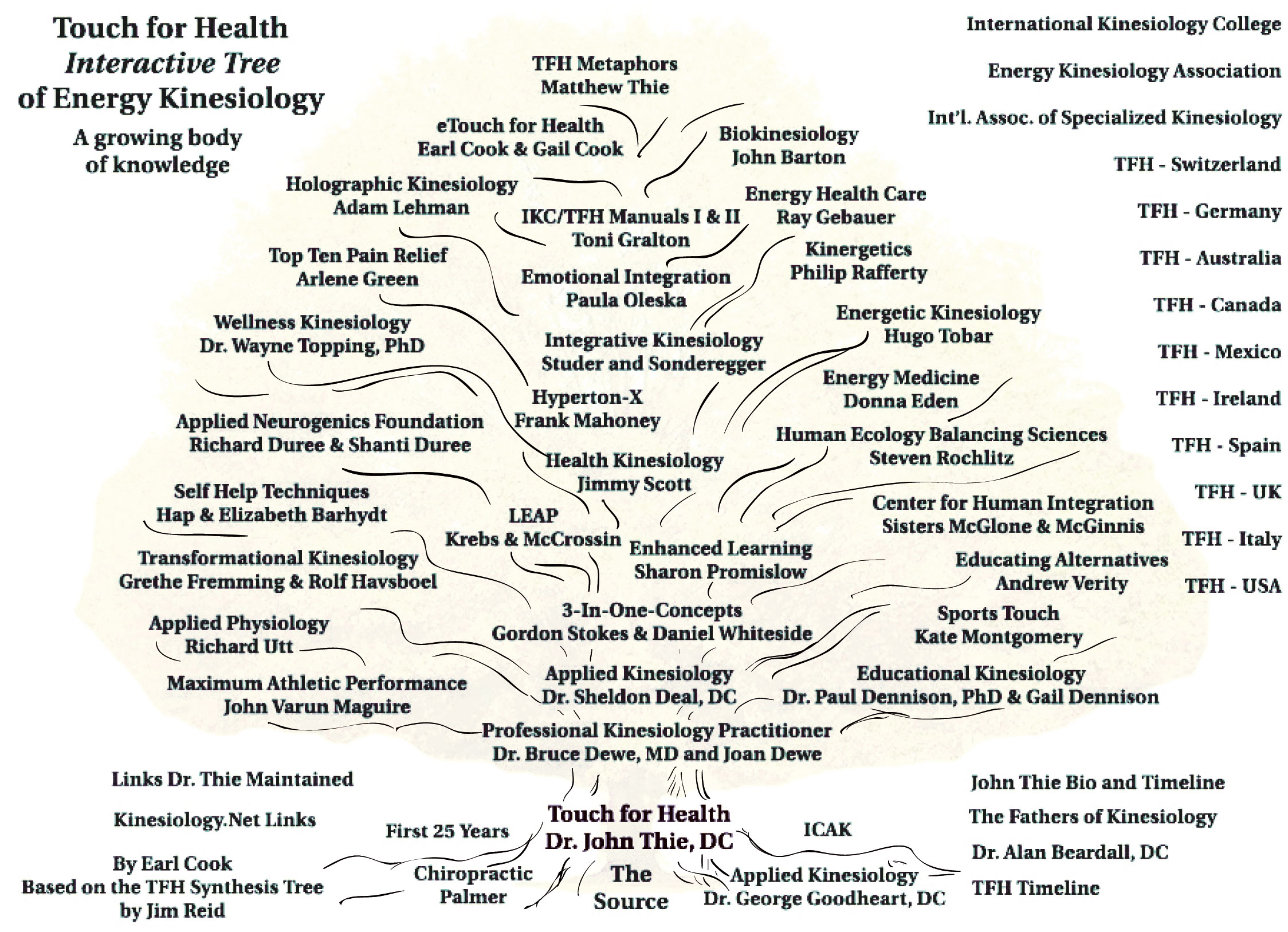 L'Arbre de la Kinésiologie