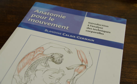 elodie cabrera - kinésiologie - developpement personnel - avoir confiance en soi - renouer avec son corps - kinesiologue - sante par le toucher - touch for health - bien etre - mieux etre - emotion - stress - anxiete - addiction - peur - phobie - obcession - force des mots - pensee positive - corps- esprit - Quand L'esprit Guérit Le Corps - hypersenbilite - intelligence emotionnelle - access bars - access consciousness - lacher prise - réussite - aisance - abondance - aller mieux - developpement personne - intelligence emotionnelle - fleurs de bach - brain gym - gestion des emotions - gestion du stress