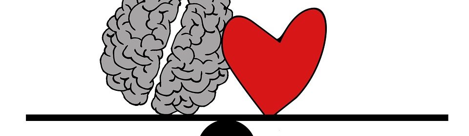 elodie cabrera - kinésiologie - developpement personnel - avoir confiance en soi - renouer avec son corps - kinesiologue - sante par le toucher - touch for health - bien etre - mieux etre - emotion - stress - anxiete - addiction - peur - phobie - obcession - force des mots - pensee positive - corps- esprit - Quand L'esprit Guérit Le Corps - hypersenbilite - intelligence emotionnelle - access bars - access consciousness - lacher prise - réussite - aisance - abondance - aller mieux - developpement personne - intelligence emotionnelle - fleurs de bach - brain gym - gestion des emotions - gestion du stress - access bars - access bars consciousness - fleurs de bach
