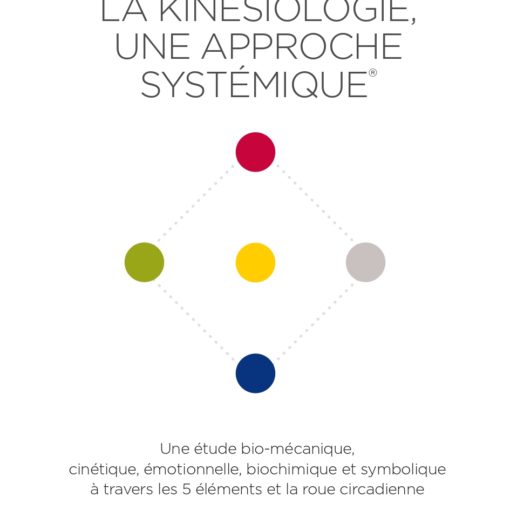 Livre La Kinésiologie Systémique Tome 1