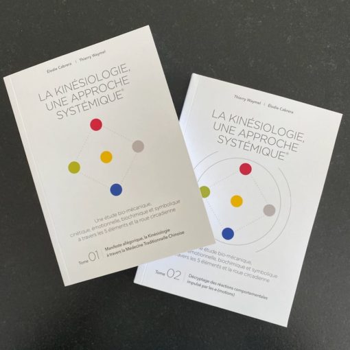 Livre La Kinésiologie Systémique